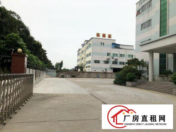  高埗镇横滘头工业区分租一楼5300平