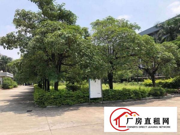  高埗镇卢溪工业园45000平标准独院
