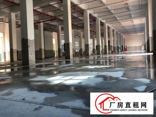  高埗镇卢溪工业园45000平标准独院