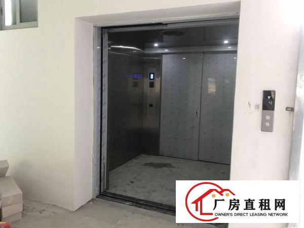  出租高埗镇高埗城区厂房（物业直招，规范管理）