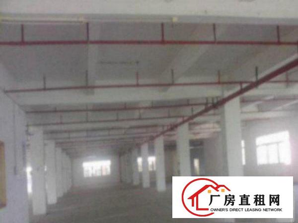  高埗独院标准厂房仓库550至2100平方招租标准厂房.一楼