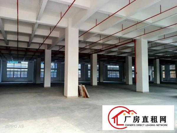  高埗镇大型工业园区出租厂房1500方，大小可以分租
