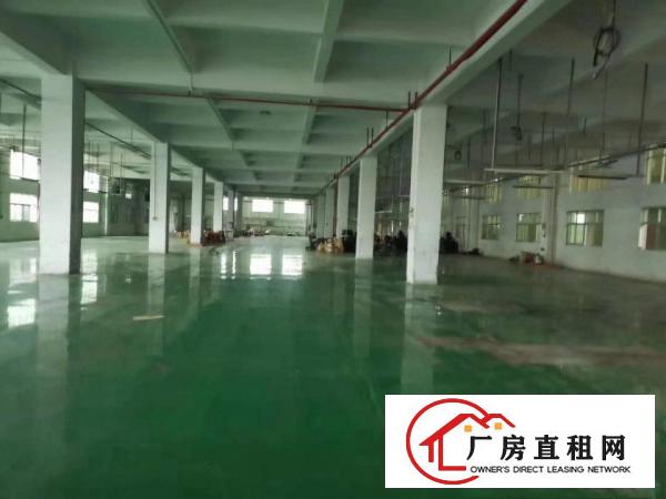  高埗镇大型工业园区出租厂房1500方，大小可以分租
