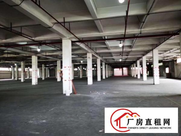  高埗镇大型工业园区出租厂房1500方，大小可以分租