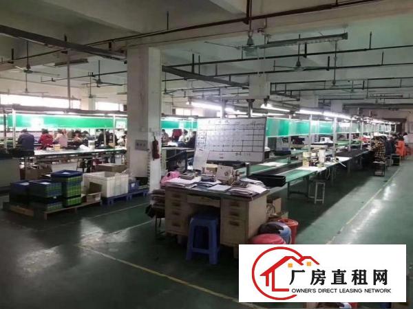  高埗镇大型工业园区出租厂房1500方，大小可以分租