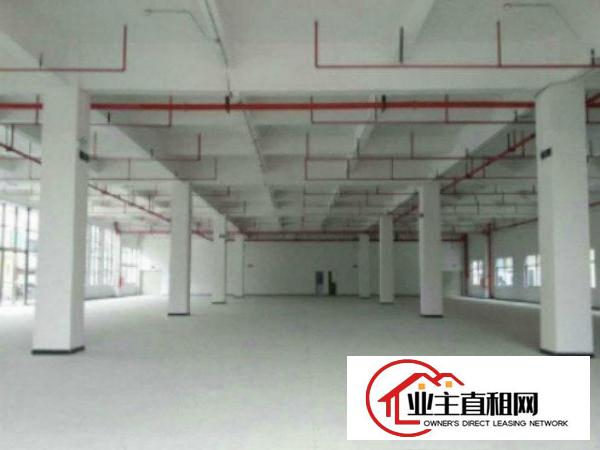  高埗标准一楼厂房500-5000平米低价招租有行车,位置好