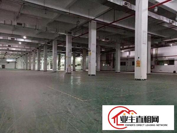  高埗标准一楼厂房500-5000平米低价招租有行车,位置好