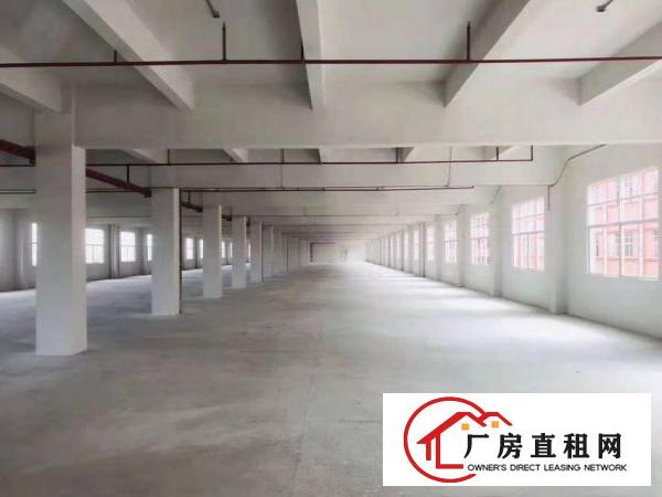  欧邓红本带航车厂房出租两栋可分租800平方