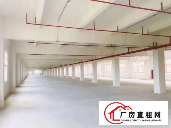  欧邓红本带航车厂房出租两栋可分租800平方