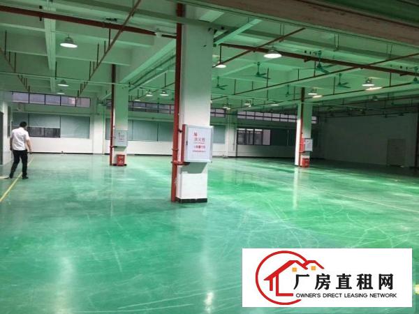  高埗花园式独门独院厂房整租优先