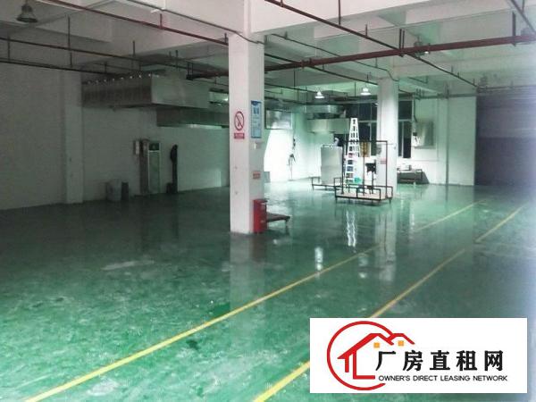  高埗花园式独门独院厂房整租优先