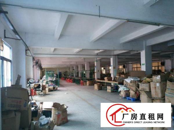  宝莲独院厂房出租1000空地大配宿舍工业用地