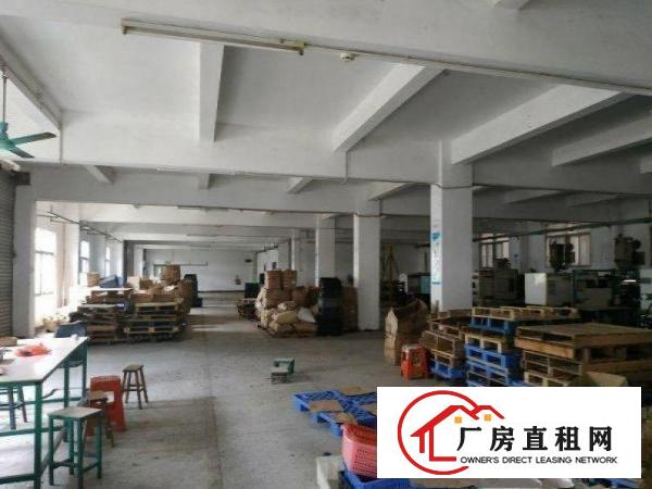  宝莲独院厂房出租1000空地大配宿舍工业用地