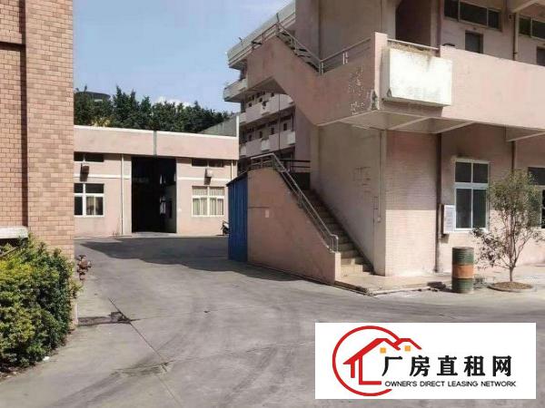  新联红本厂房，有喷淋，1000平方，合适电子行业！