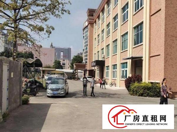  新联红本厂房，有喷淋，1000平方，合适电子行业！
