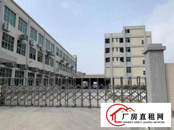  低涌2层标准独院厂房原房东厂房500平方起租