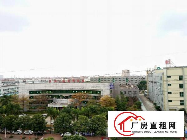  新出标准厂房一楼770方招租
