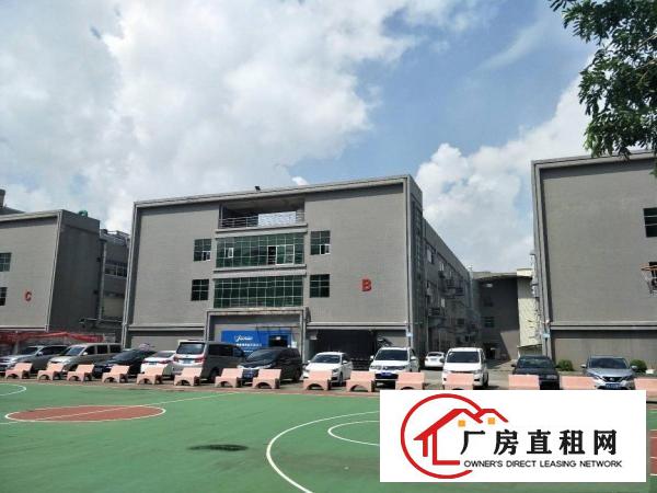  新出标准厂房一楼770方招租