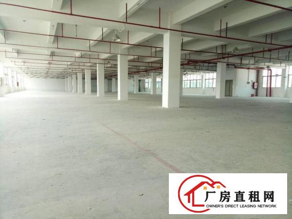  新出标准厂房一楼770方招租