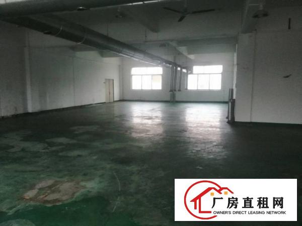  高埗镇大型工业园区新出现成装修二楼厂房出租