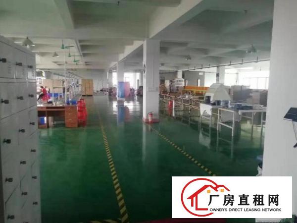  高埗镇大型工业园区新出现成装修二楼厂房出租
