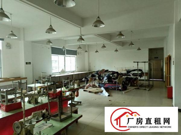  高埗镇花园式工业园区厂房出租一栋两层独栋1500平现成装修