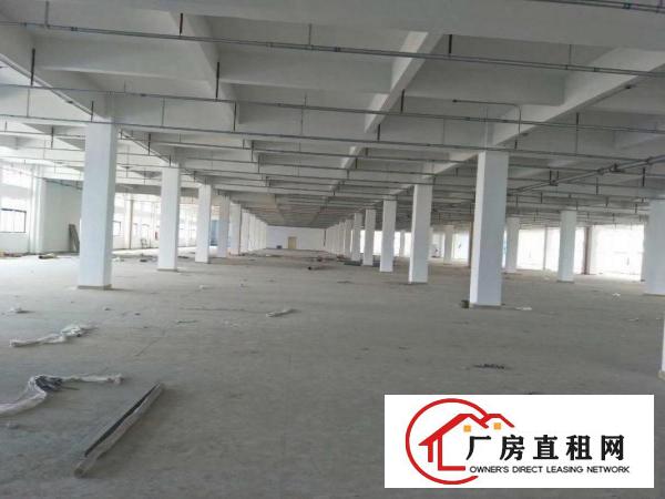  高埗镇新出独门独院大型工业园区招租，厂房可以整租，分租
