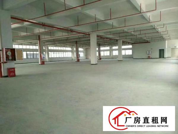  高埗镇新出独门独院大型工业园区招租，厂房可以整租，分租