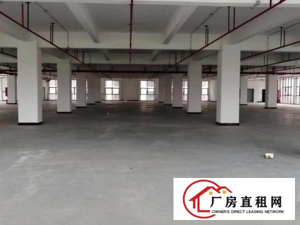  高埗镇新出独门独院大型工业园区招租，厂房可以整租，分租