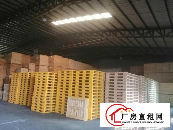 高埗镇新出原房东独门独院单一层厂房厂房