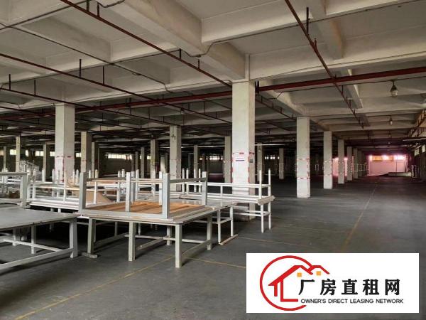  望牛墩国有土地红本厂房消防喷淋大小可分租