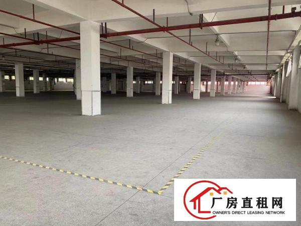  望牛墩国有土地红本厂房消防喷淋大小可分租