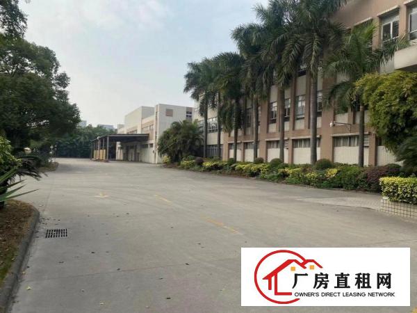  望牛墩国有土地红本厂房消防喷淋大小可分租