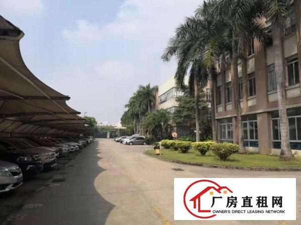  望牛墩国有土地红本厂房消防喷淋大小可分租