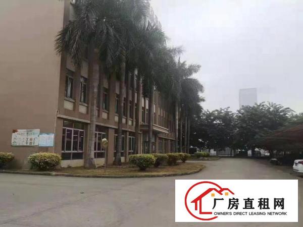  望牛墩国有土地红本厂房消防喷淋大小可分租