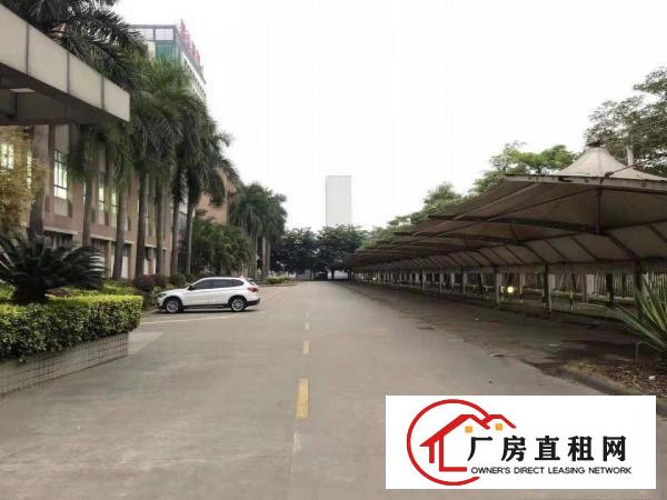  望牛墩国有土地红本厂房消防喷淋大小可分租