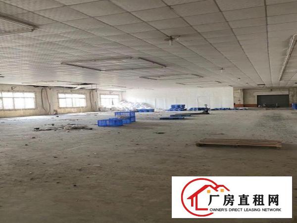  望牛墩原房东独门独院花园式单一层厂房出租4000平方