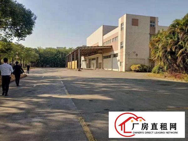  望牛墩国有土地红本厂房50000平方大小可分租消防喷淋