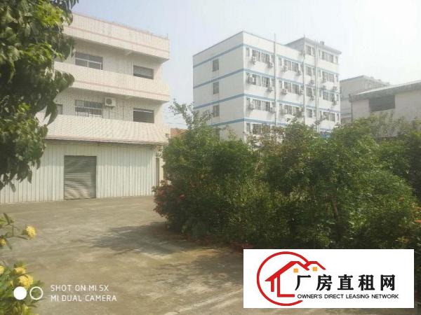  独院厂房总共1-2层总面积46960平整租15.5元/平
