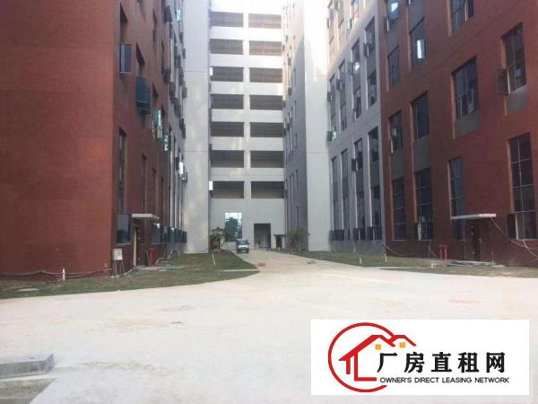  望牛墩新建工业园招商