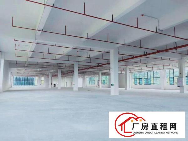  望牛墩新建工业园招商