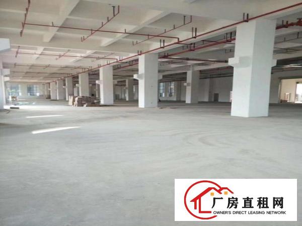  望牛墩新建工业园招商