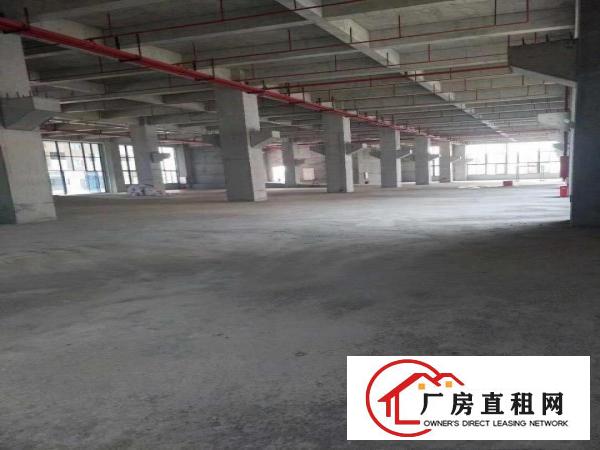  望牛墩新建工业园招商