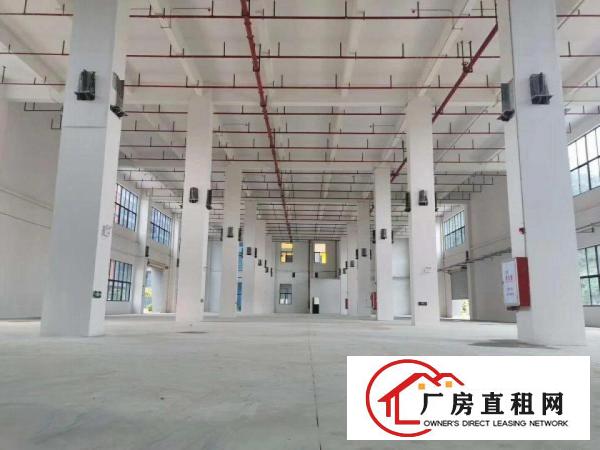  望牛墩新建工业园招商