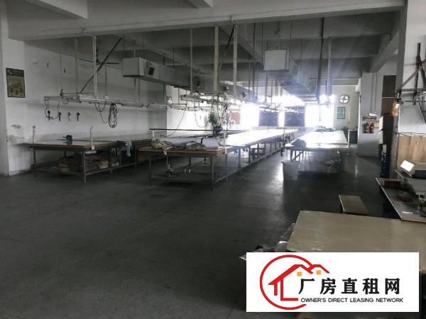  望牛墩独门独院厂房办公楼精装修
