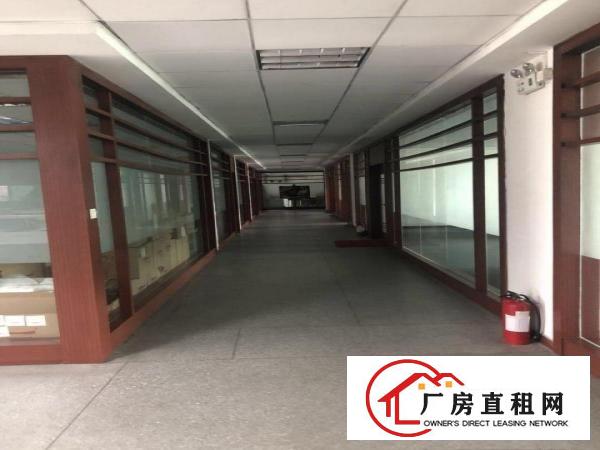  望牛墩独门独院厂房办公楼精装修