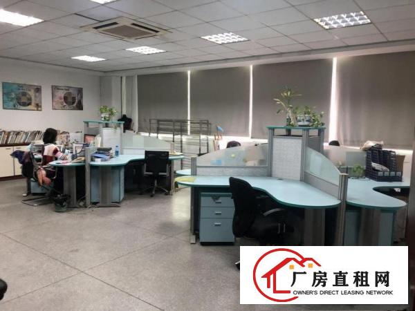  望牛墩独门独院厂房办公楼精装修