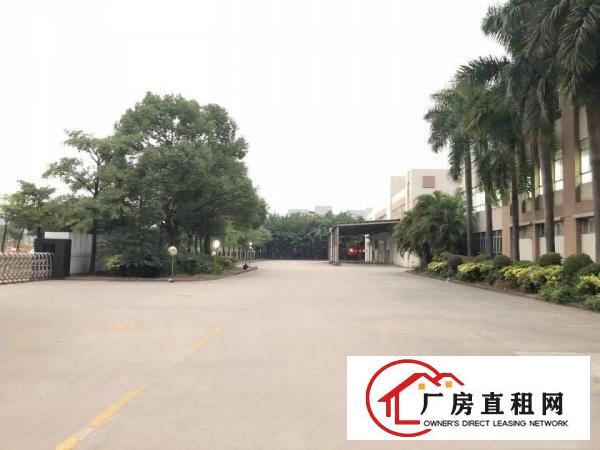 望牛墩镇独院上市企业形象标准厂房红本可办环评