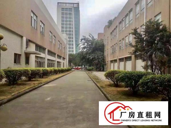  望牛墩镇独院上市企业形象标准厂房红本可办环评