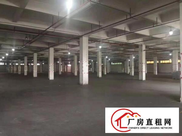  望牛墩镇独院上市企业形象标准厂房红本可办环评